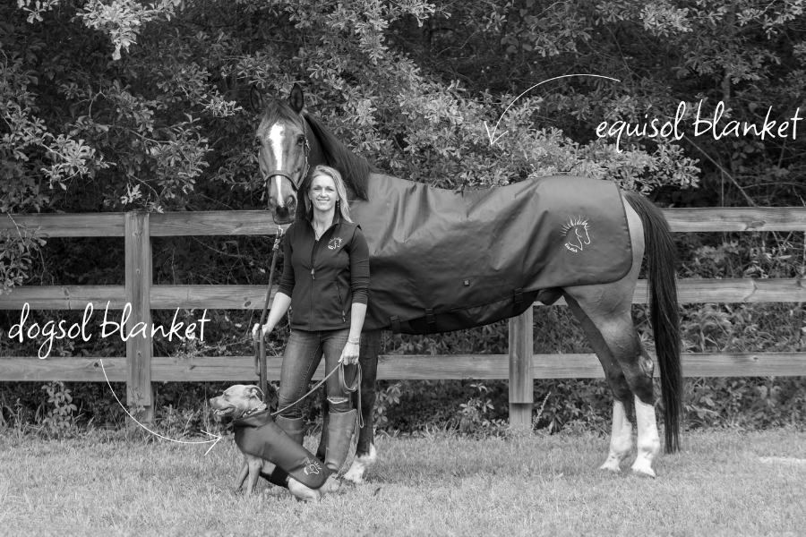 Shine a Light on Faster Healing for Horses 1