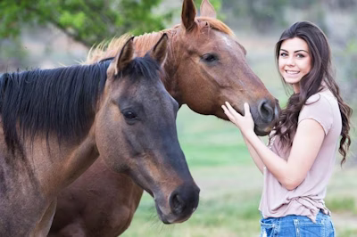 Equine Insurance Insights 1