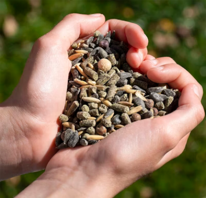 Transitioning Your Horse’s Diet with EnviroEquine 1