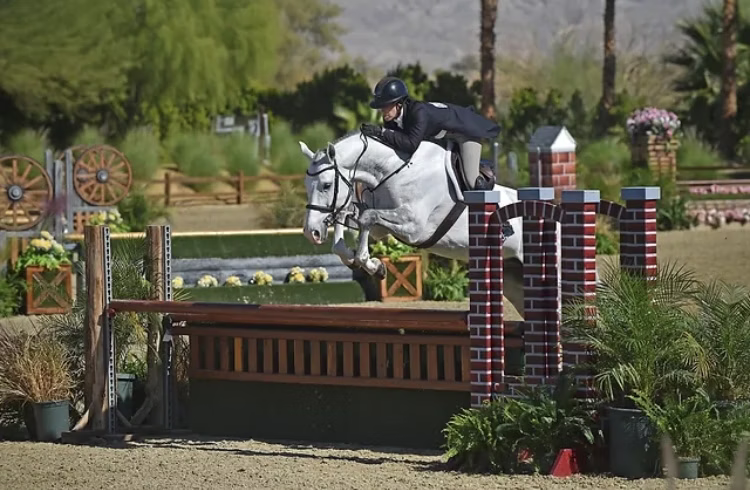Horse Shopping Blog Series: Evaluating the perfect equine partner 1