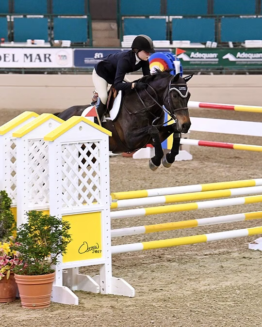 Types of Jumps In Show Jumping 1