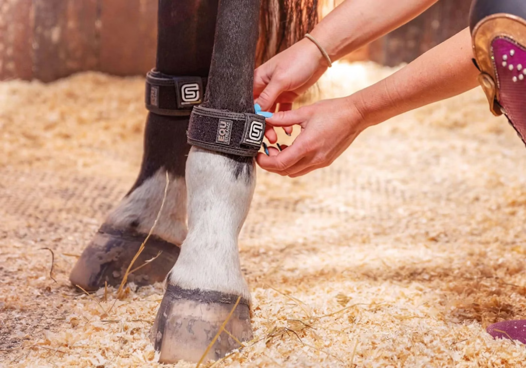 Welcome to Advanced Magnetic Therapy for Horses 1