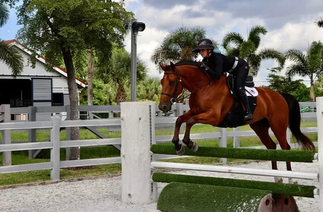Up To Speed WSH - Lovely Derby Prospect 2