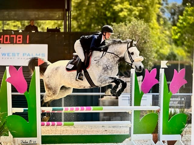 Silver Lining Stables 7