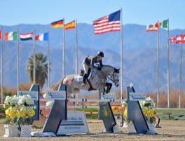 Texel Equestrian 2