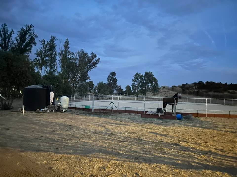 Premium Horse Care 4
