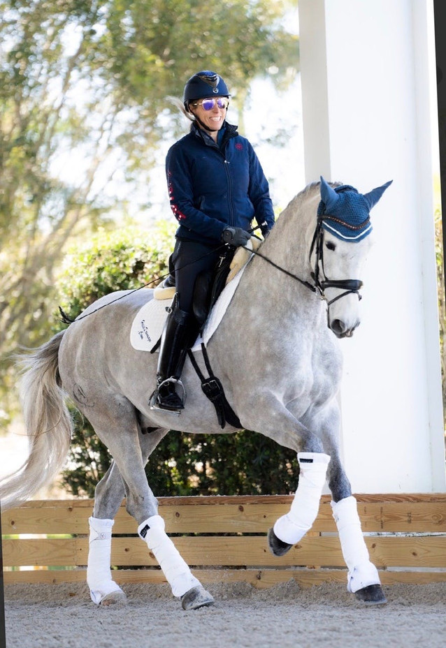 Quartzo - 4th Level Gelding 1