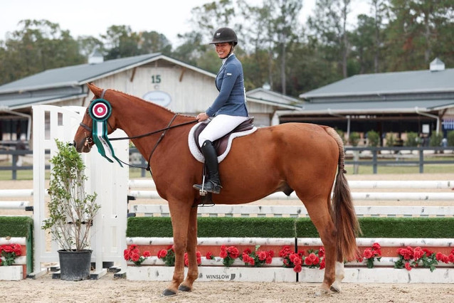 Twenty Hearts - 3'3 Hunter/ Eq Schoolmaster 1