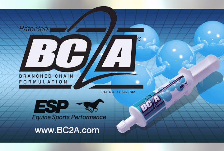 BC2A 3