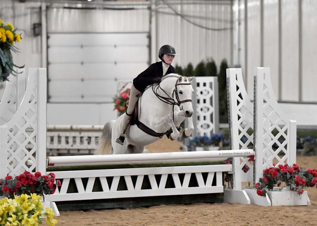 Rollingwoods Top Gun - Easy Medium Green 1