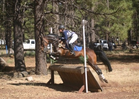 Tessamae- Scopey Large Pony Event Mare 1