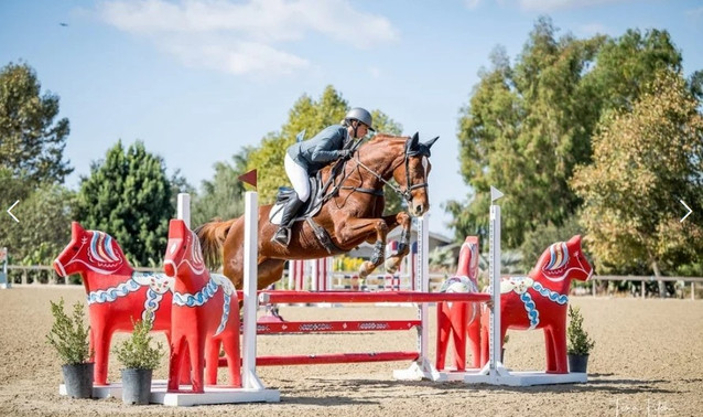 Carolina Comet WE - CH/AA Jumper 1