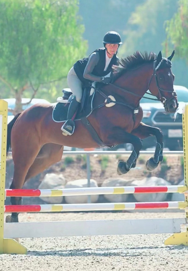 Coming 7 year old 16.2hh OTTB available for in barn full lease. 1