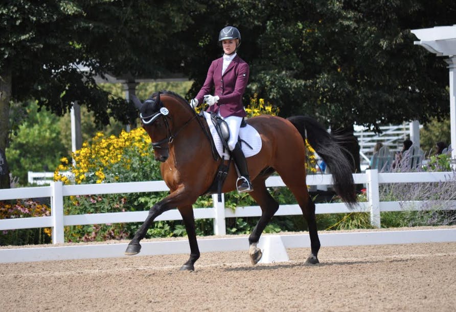 DeCesari Equestrian 2