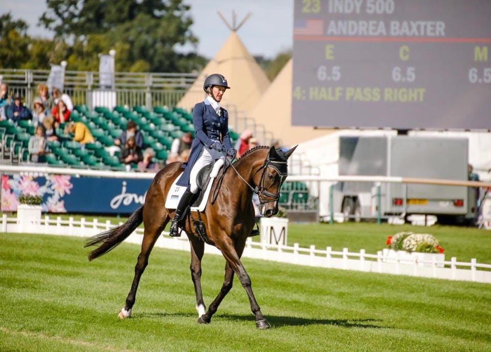Athletux Equine 3