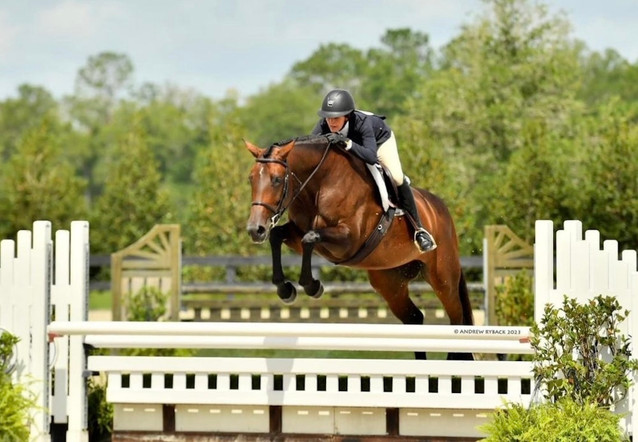 If The Shoe Fits - Experienced Show Mare 1