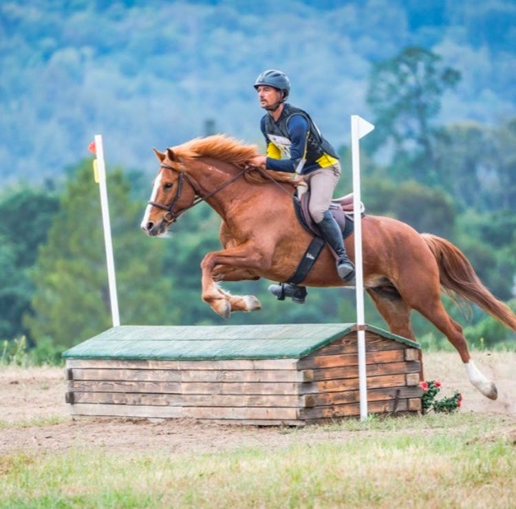 The Fencing Pony, LLC 2