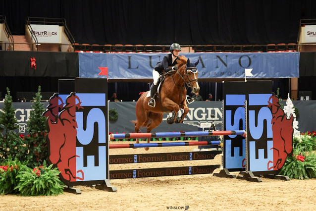 WSHS Fleur de La Lande - Gorgeous 1.20m Mare *Price Reduction* 1