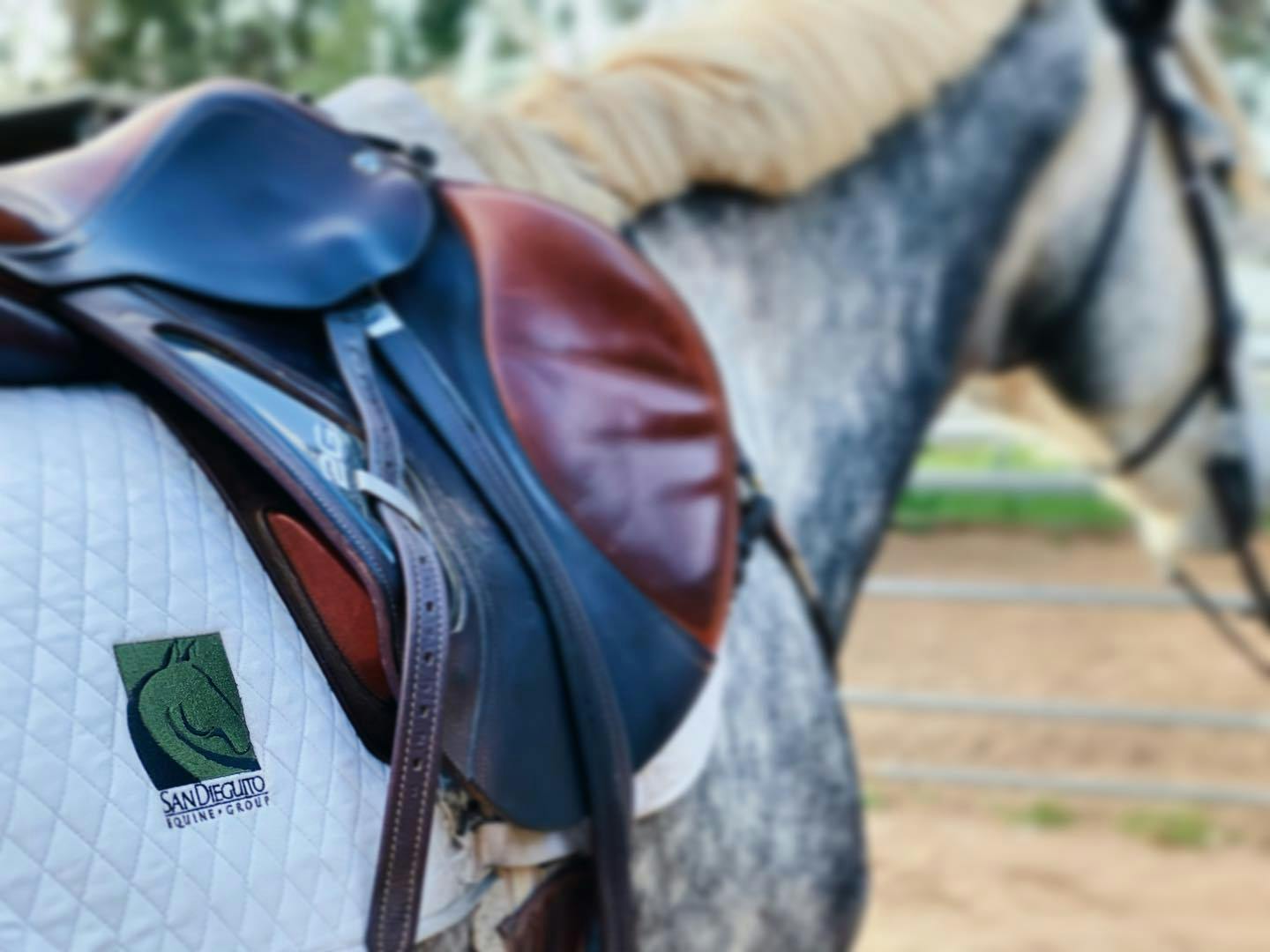 San Dieguito Equine Group, Inc. 2