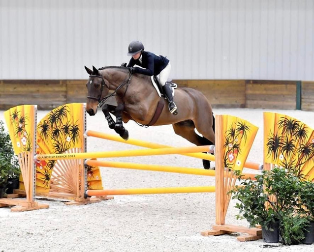 Tyamo - Trusted 1.10m Jumper Gelding 1