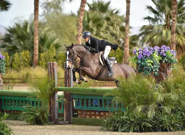 Fancy National Derby Mare 1