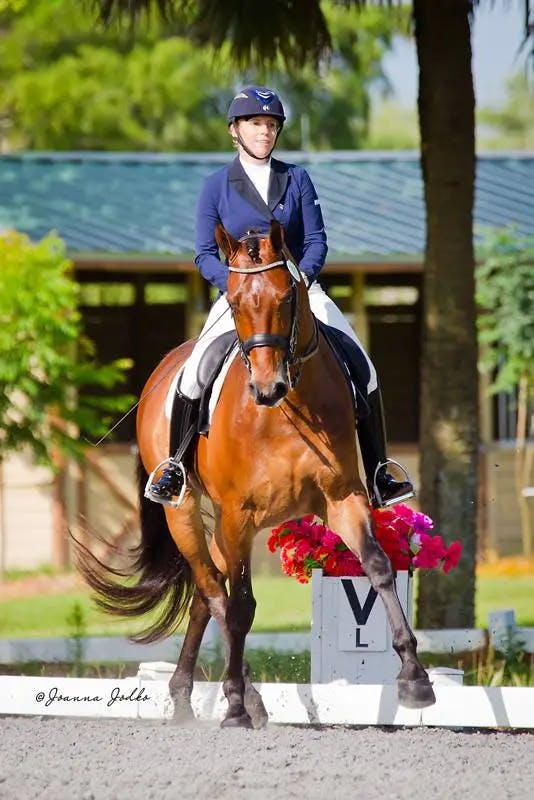 Heidi Dressage LLC 8