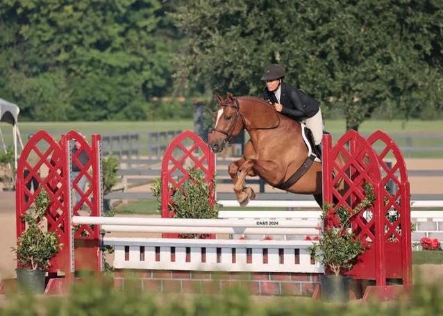 Nipyruso H - Eligible 3'3 Green Gelding 1