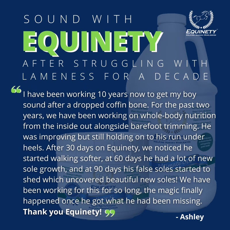 Equinety LLC 4