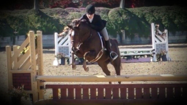 GlenHaven Geneva - Super Pony! FOR LEASE 2