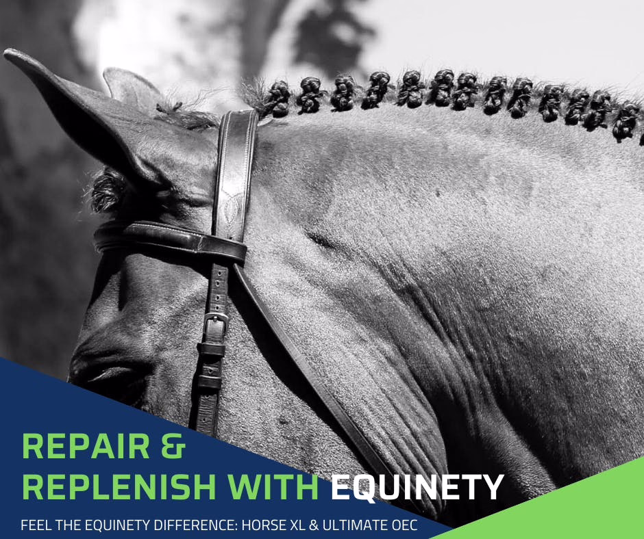 Equinety LLC 5