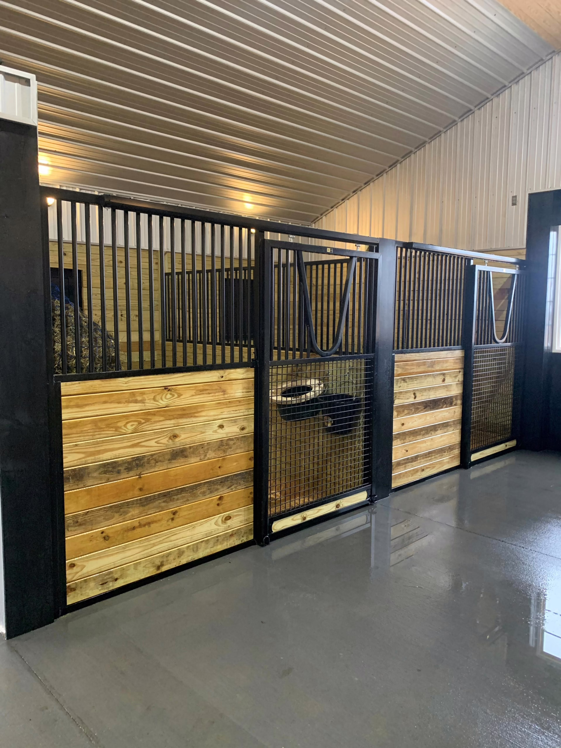 Classic Equine Equipment 2