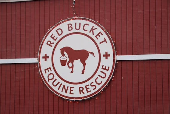 Red Bucket Equine Rescue 2