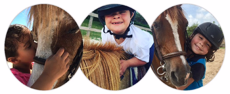 Good Hope Equestrian Training Center 3