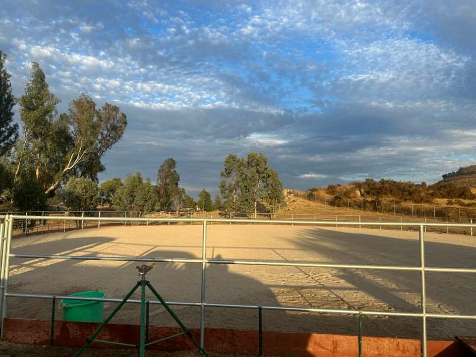Premium Horse Care 5