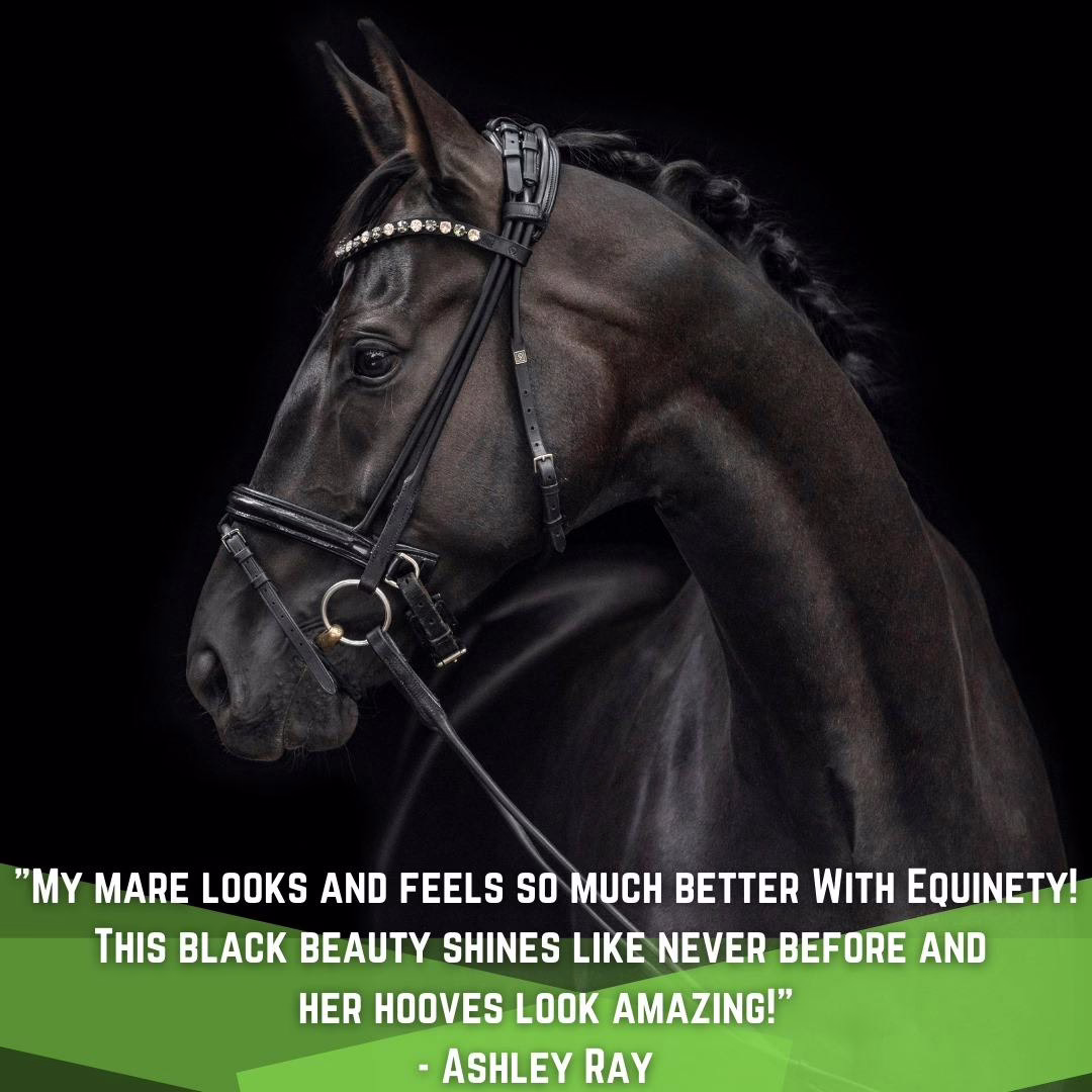 Equinety LLC 6
