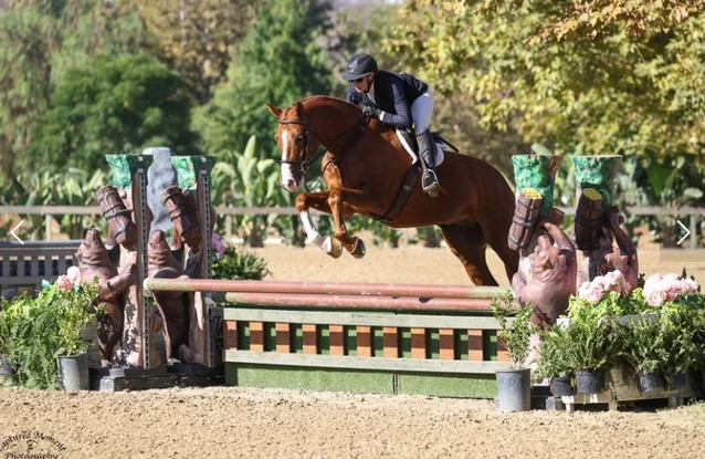 Konvaldi - Hunter Prospect 1