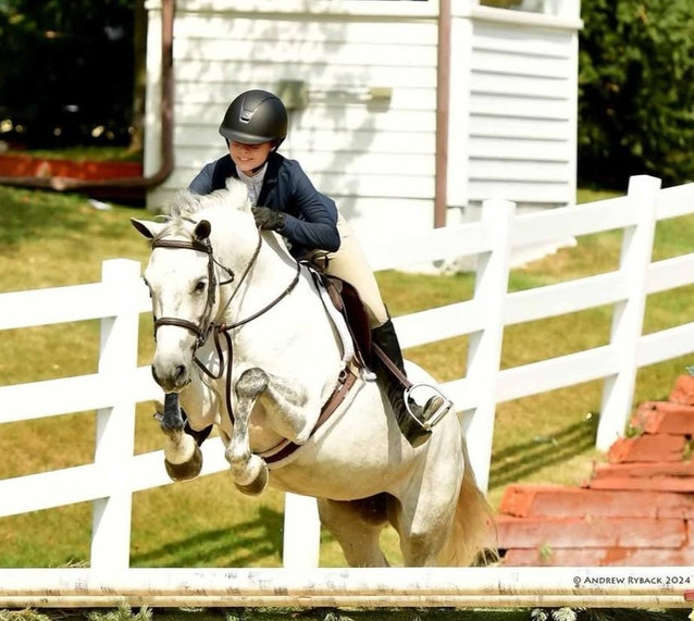 Coolbareen Molly - Sweet Large Pony 1