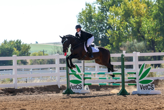 Upper Level Eventing prospect 1