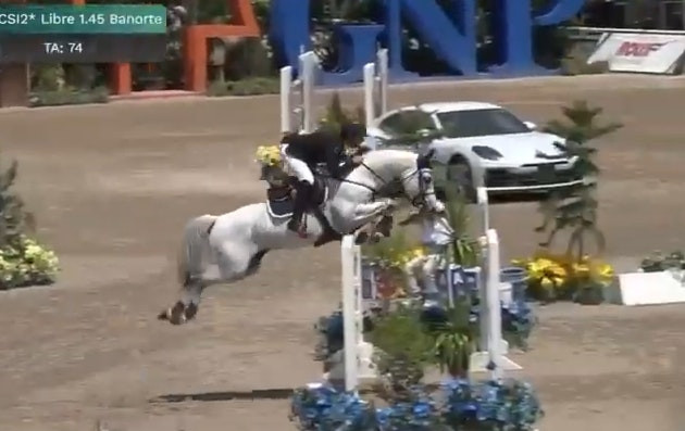 Poblano LS La Silla - 1.45m 1